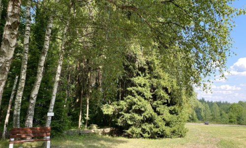 Центр ухода «Доброта» Митино цены