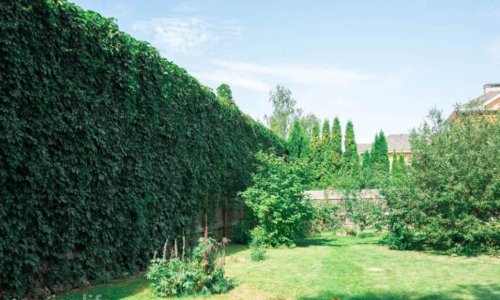 Частный дом престарелых «Теплые беседы» Пенино - 5