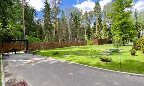 «Три сестры» отзывы